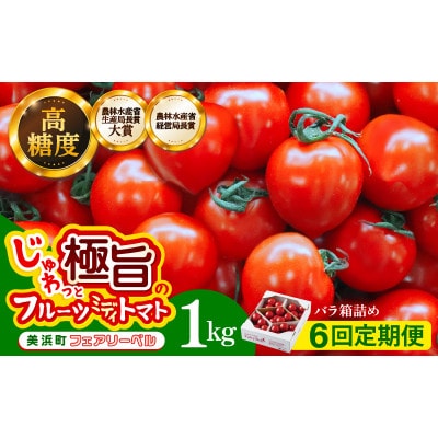 【毎月定期便】じゅわっと極旨のフルーツミディトマト 約1kg (バラ箱詰め)全6回