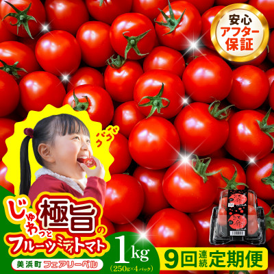 【毎月定期便】じゅわっと極旨のフルーツミディトマト 約1kg 全9回