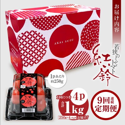 【毎月定期便】じゅわっと極旨のフルーツミディトマト 約1kg 全9回