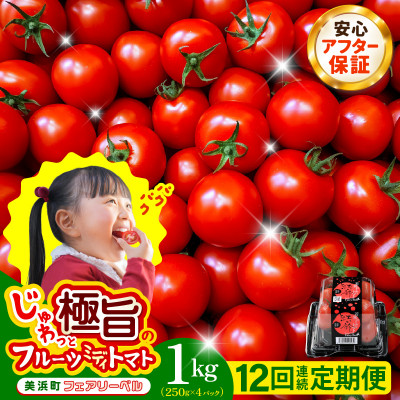 【毎月定期便】じゅわっと極旨のフルーツミディトマト 約1kg 全12回