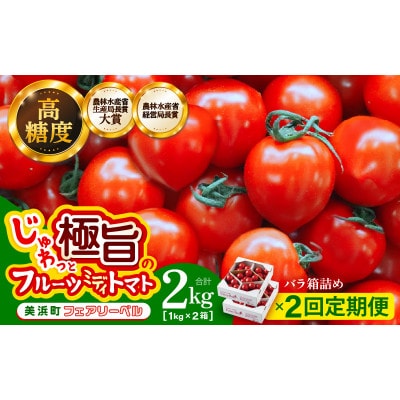【毎月定期便】じゅわっと極旨のフルーツミディトマト 約1kg (バラ箱詰め) ×2箱全2回