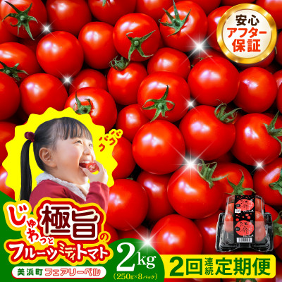 【毎月定期便】じゅわっと極旨のフルーツミディトマト 約1kg ×2箱 全2回