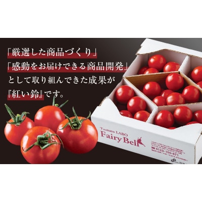 【毎月定期便】じゅわっと極旨のフルーツミディトマト 約1kg (バラ箱詰め) ×2箱全2回