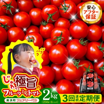 【毎月定期便】じゅわっと極旨のフルーツミディトマト 約1kg ×2箱 全3回