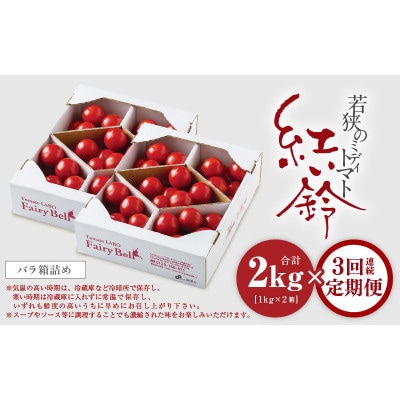 【毎月定期便】じゅわっと極旨のフルーツミディトマト 約1kg (バラ箱詰め) ×2箱全3回
