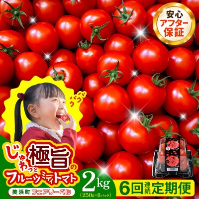 【毎月定期便】じゅわっと極旨のフルーツミディトマト 約1kg ×2箱 全6回