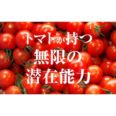 【毎月定期便】じゅわっと極旨のフルーツミディトマト 約1kg (バラ箱詰め) ×2箱全9回
