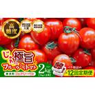 【毎月定期便】じゅわっと極旨のフルーツミディトマト 約1kg (バラ箱詰め) ×2箱全12回