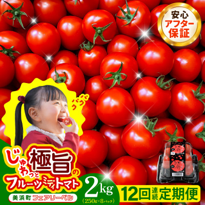 【毎月定期便】じゅわっと極旨のフルーツミディトマト 約1kg ×2箱 全12回