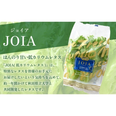 【福井県美浜町産】低カリウムレタス&フリルレタス6個セット