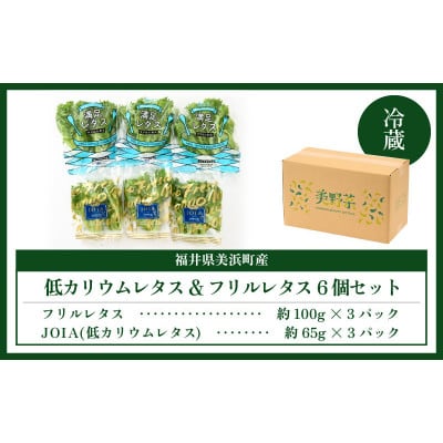 【福井県美浜町産】低カリウムレタス&フリルレタス6個セット