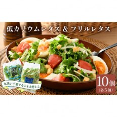 【福井県美浜町産】低カリウムレタス&フリルレタス10個セット | ふるさと納税のお礼品
