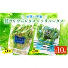 【福井県美浜町産】低カリウムレタス&フリルレタス10個セット