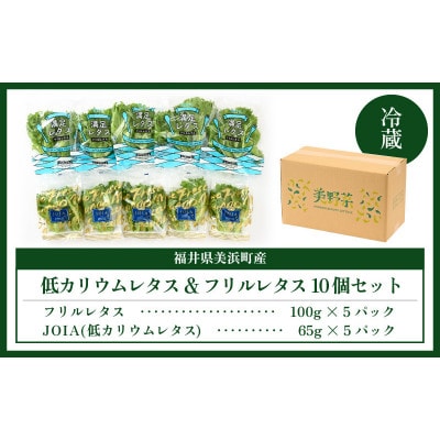 【福井県美浜町産】低カリウムレタス&フリルレタス10個セット