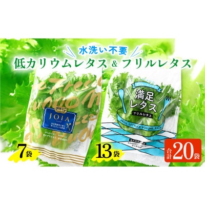 【福井県美浜町産】低カリウムレタス&フリルレタス20個セット