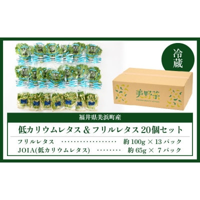 【福井県美浜町産】低カリウムレタス&フリルレタス20個セット