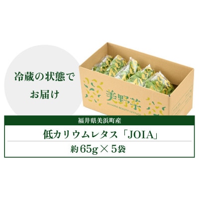 低カリウムレタス 美野菜 「JOIA」 5袋 クリーンルーム栽培 鮮度長持ち