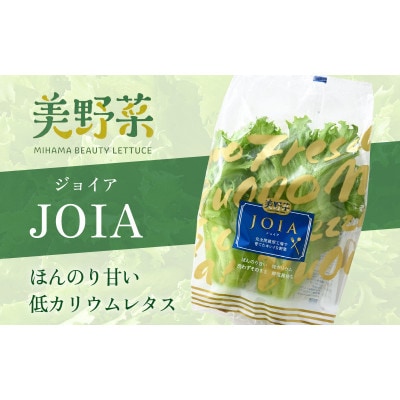 低カリウムレタス 美野菜 「JOIA」 20袋 クリーンルーム栽培 鮮度長持ち