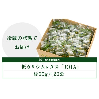 低カリウムレタス 美野菜 「JOIA」 20袋 クリーンルーム栽培 鮮度長持ち