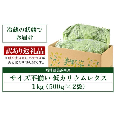 訳あり　低カリウムレタス　1kg(500g×2袋)不揃い クリーンルーム栽培  栽培期間中農薬不使用