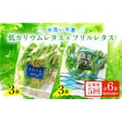 【毎月定期便】低カリウムレタス&フリルレタス6個セット全5回