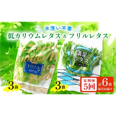 【毎月定期便】低カリウムレタス&フリルレタス6個セット全5回