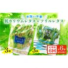 【毎月定期便】低カリウムレタス&フリルレタス6個セット全6回
