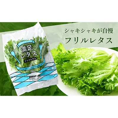 【毎月定期便】低カリウムレタス&フリルレタス6個セット全6回