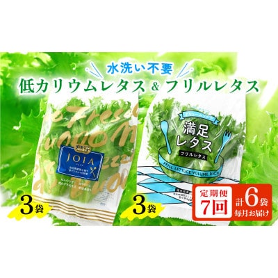 【毎月定期便】低カリウムレタス&フリルレタス6個セット全7回