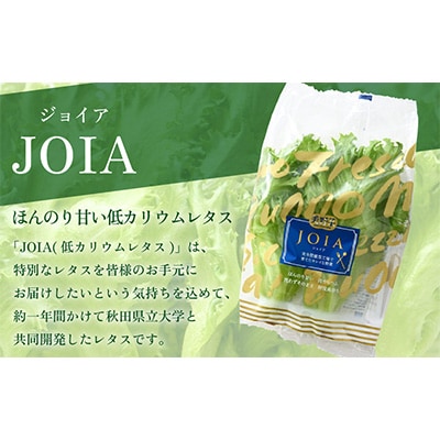 【毎月定期便】低カリウムレタス&フリルレタス6個セット全7回