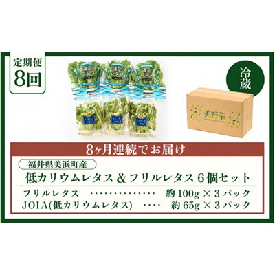 【毎月定期便】低カリウムレタス&フリルレタス6個セット全8回