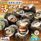 福井・若狭湾の素潜り活サザエ　2kg