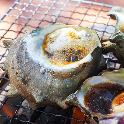 福井・若狭湾の素潜り活サザエ　2kg