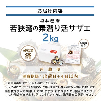 福井・若狭湾の素潜り活サザエ　2kg