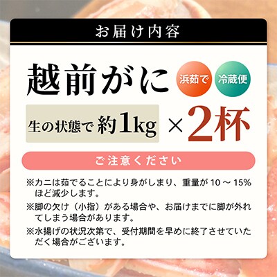 【2026年2月上旬頃より順次お届け】越前がに　大2杯
