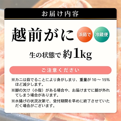 【2026年2月上旬頃より順次お届け】越前がに　大1杯