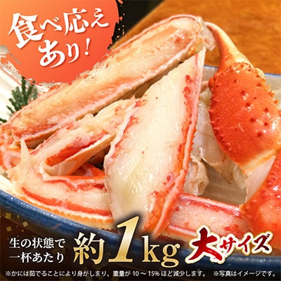 【2026年2月上旬頃より順次お届け】越前がに　大2杯