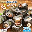 福井・若狭湾の素潜り活サザエ　700g(説明書付き)