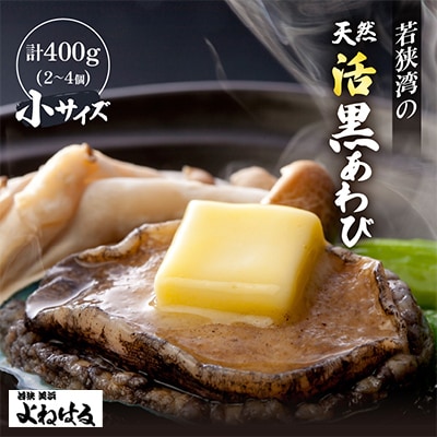 若狭湾の天然活黒アワビ400g