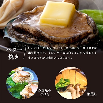 若狭湾の天然活黒アワビ400g