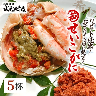 【2025年11月より順次発送】《おまかせ》茹でセイコガニ　5杯　茹でたてをその日に発送致します