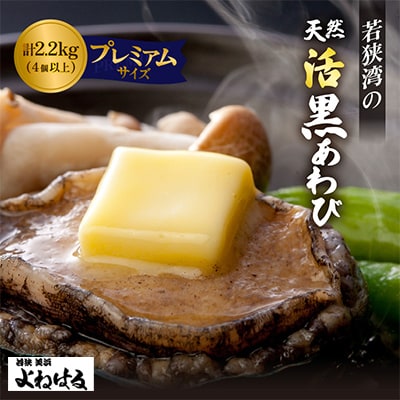 若狭湾の天然活黒アワビ【プレミアムサイズ】2.2kg
