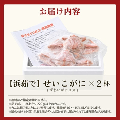 【2025年11月より順次発送】1杯220g以上の希少価値のあるセイコガニ2杯を茹でたその日に発送!