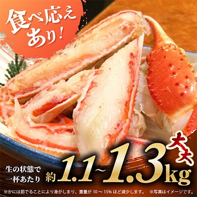 【2026年3月より順次発送】越前がに(大大サイズ)約1.1～1.3kg×1杯