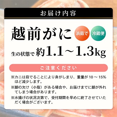 【2026年3月より順次発送】越前がに(大大サイズ)約1.1～1.3kg×1杯