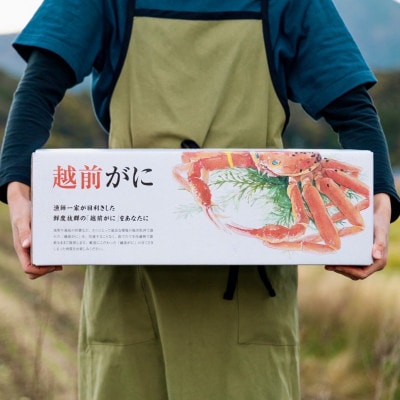 【2024年11月より順次発送】地物!はるか丸が厳選した越前がに【大サイズ】1杯!カニスプーン付き