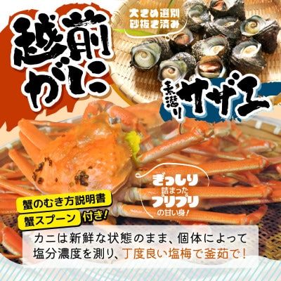 【順次発送】【カニスプーン付き】越前がに《約400g×2杯》茹でたてを冷蔵便でお届け!