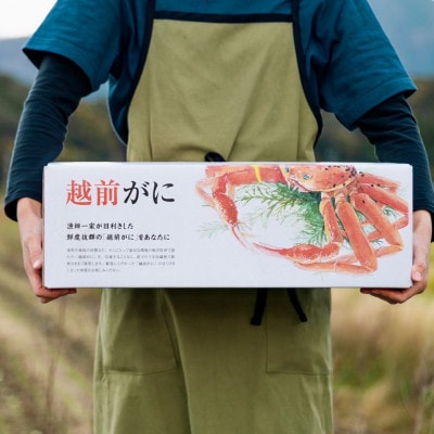《越前がに》はるか丸が厳選訳あり【約800g～900g1杯】とれたて!冷蔵でお届け!