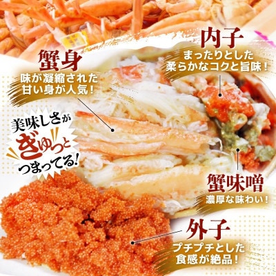 はるか丸が厳選【越前タグ付きセイコガ二大200g以上×2杯】とれたて!茹でたて!カニスプーン付き