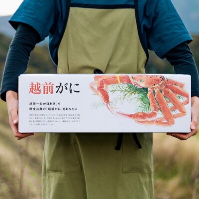 【2024年11月より順次発送】“訳あり”《越前がに》【小サイズ2杯】カニスプーン付き